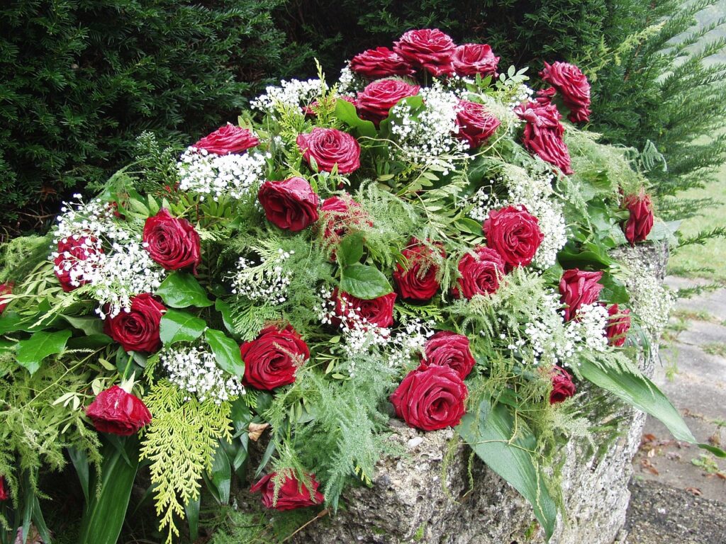 roses, morning mist, graveyard